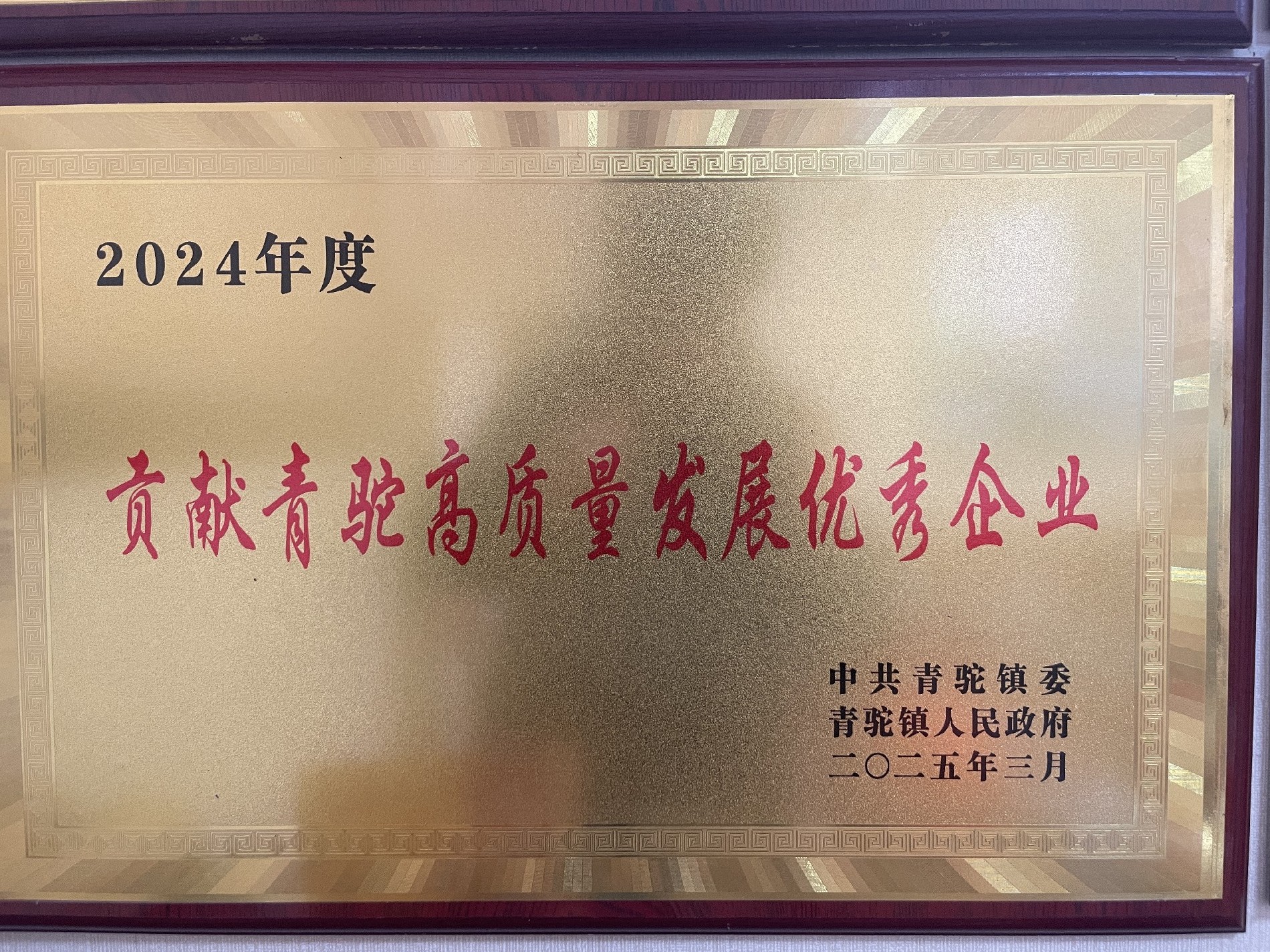 2024年度貢獻青駝高質量發展優秀企業